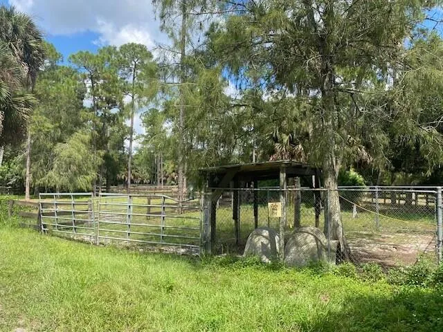 a view of a yard with an trees