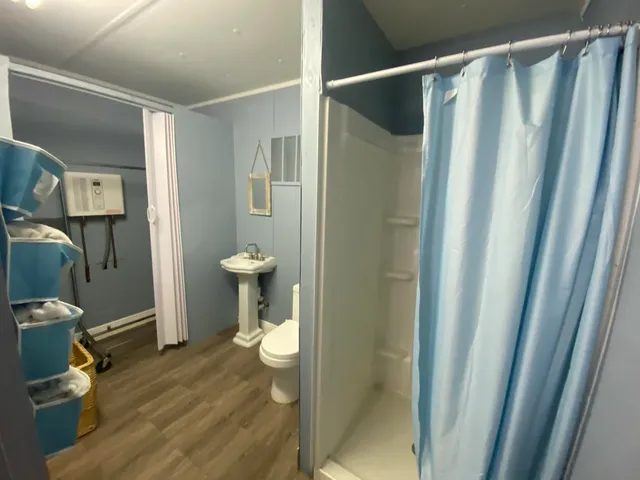 a bathroom with a shower and toilet