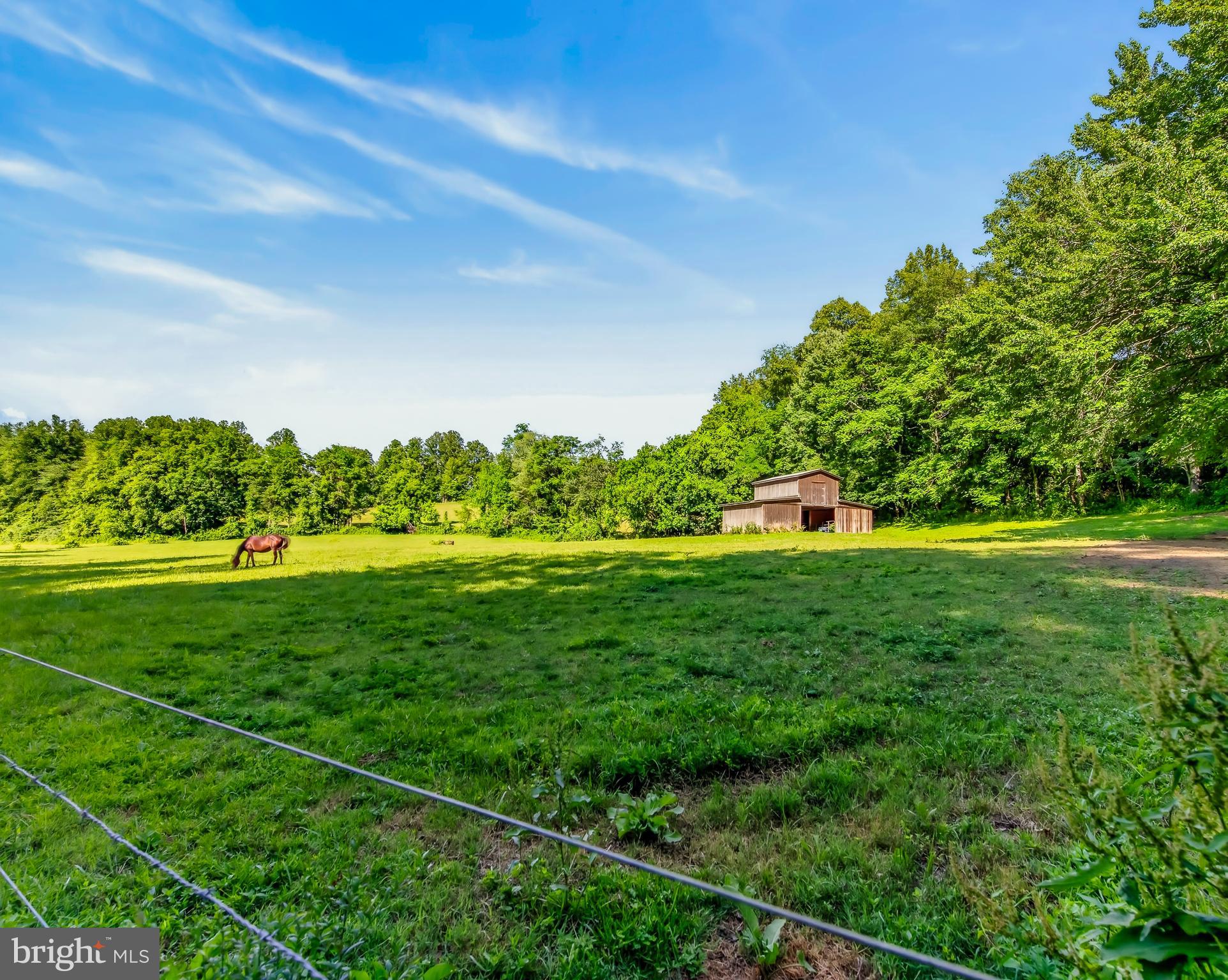 4028 South F T Valley Road Etlan, VA 22719 - Photo 27 of 101