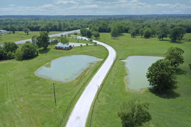 a view of a garden with a lake view