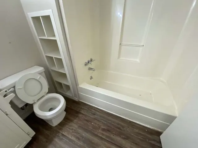 a bathroom with a toilet and a bathtub