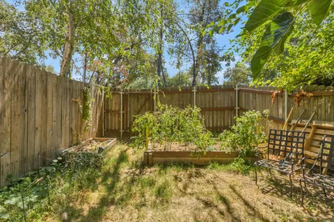 a view of lake with a large trees