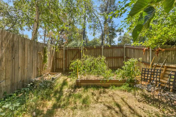 a view of lake with a large trees