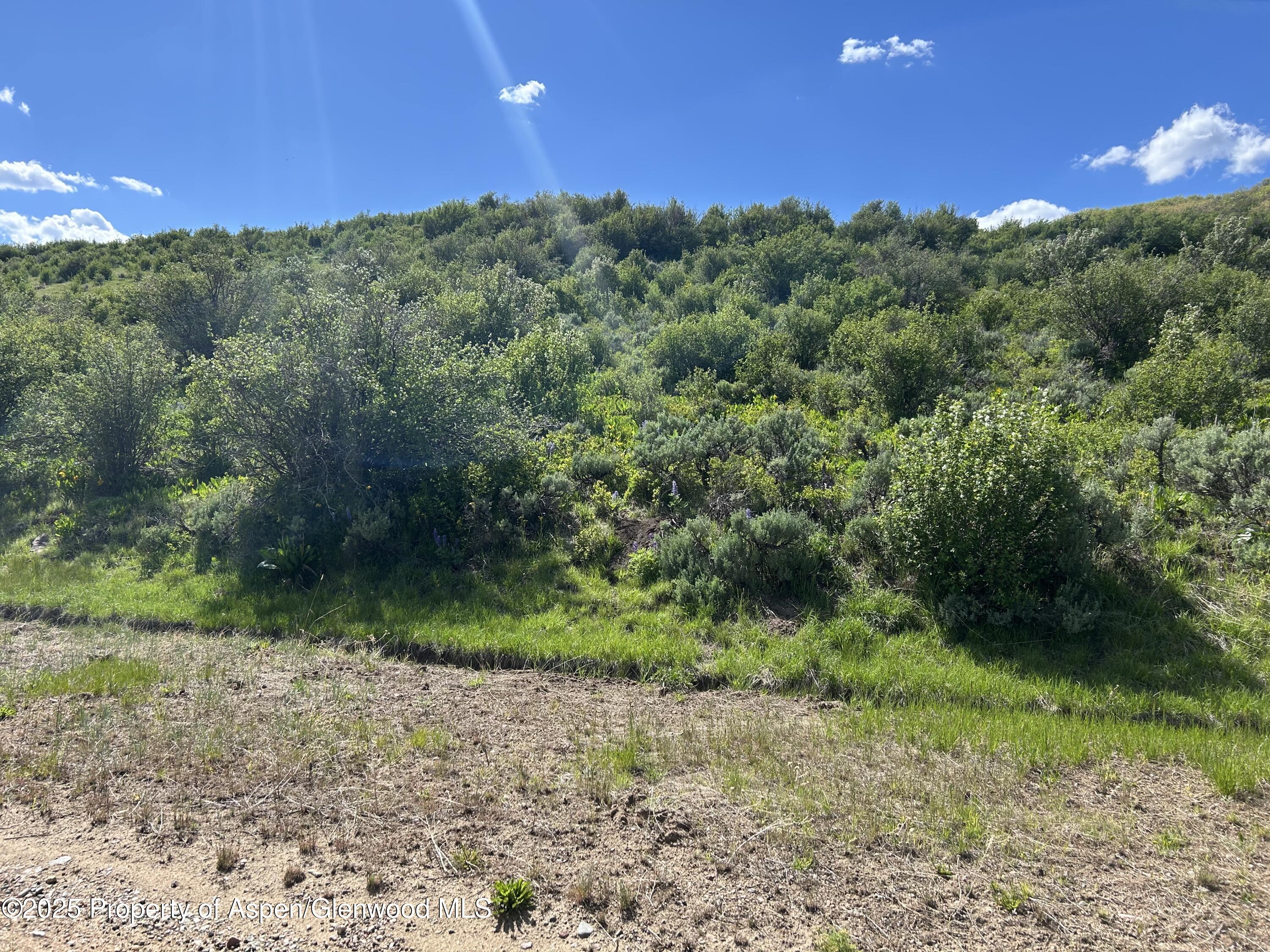 889 Granite Road, Unit LOT 446 Craig, CO 81625 - Photo 1 of 9 a view of a trees with a yard