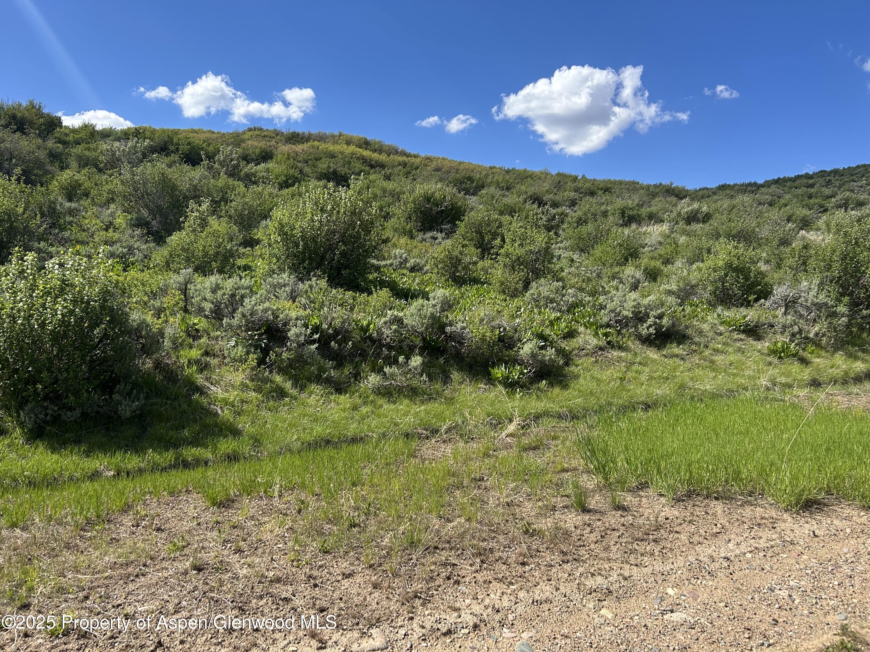 889 Granite Road, Unit LOT 446 Craig, CO 81625 - Photo 2 of 9 a view of a yard with a house