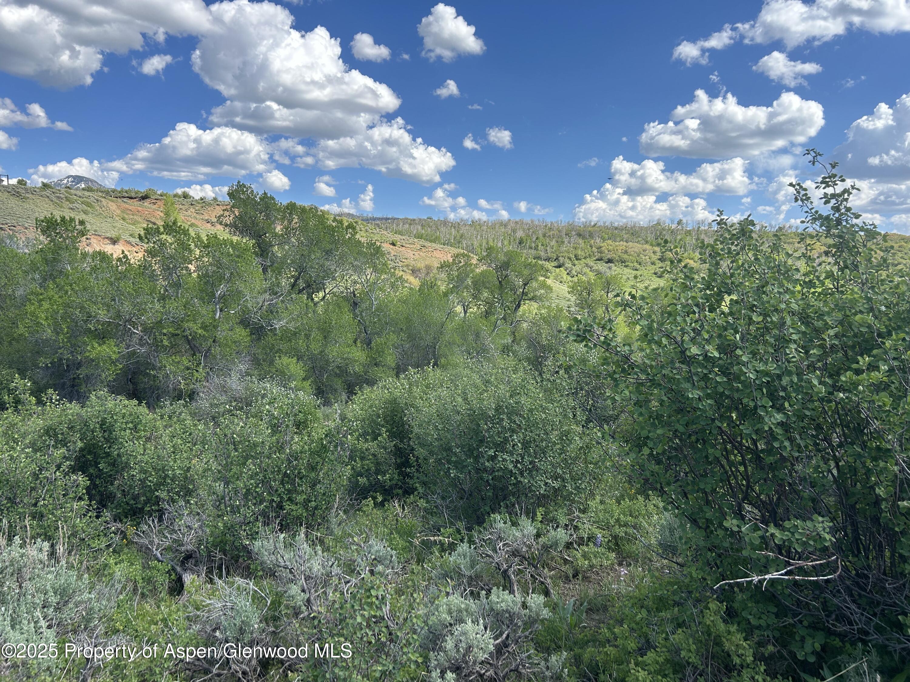 889 Granite Road, Unit LOT 446 Craig, CO 81625 - Photo 8 of 9 a view of a bunch of trees