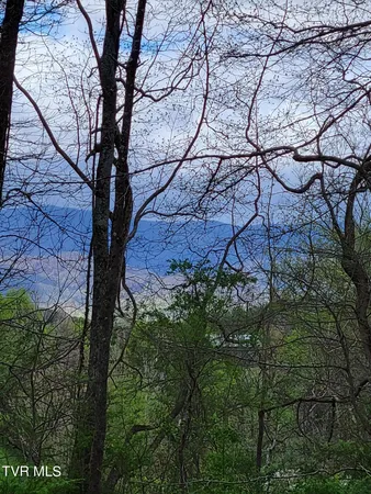 $109,900 | Lot-4 Bailey Bridge Road, Unit 4, Limestone, TN 37681