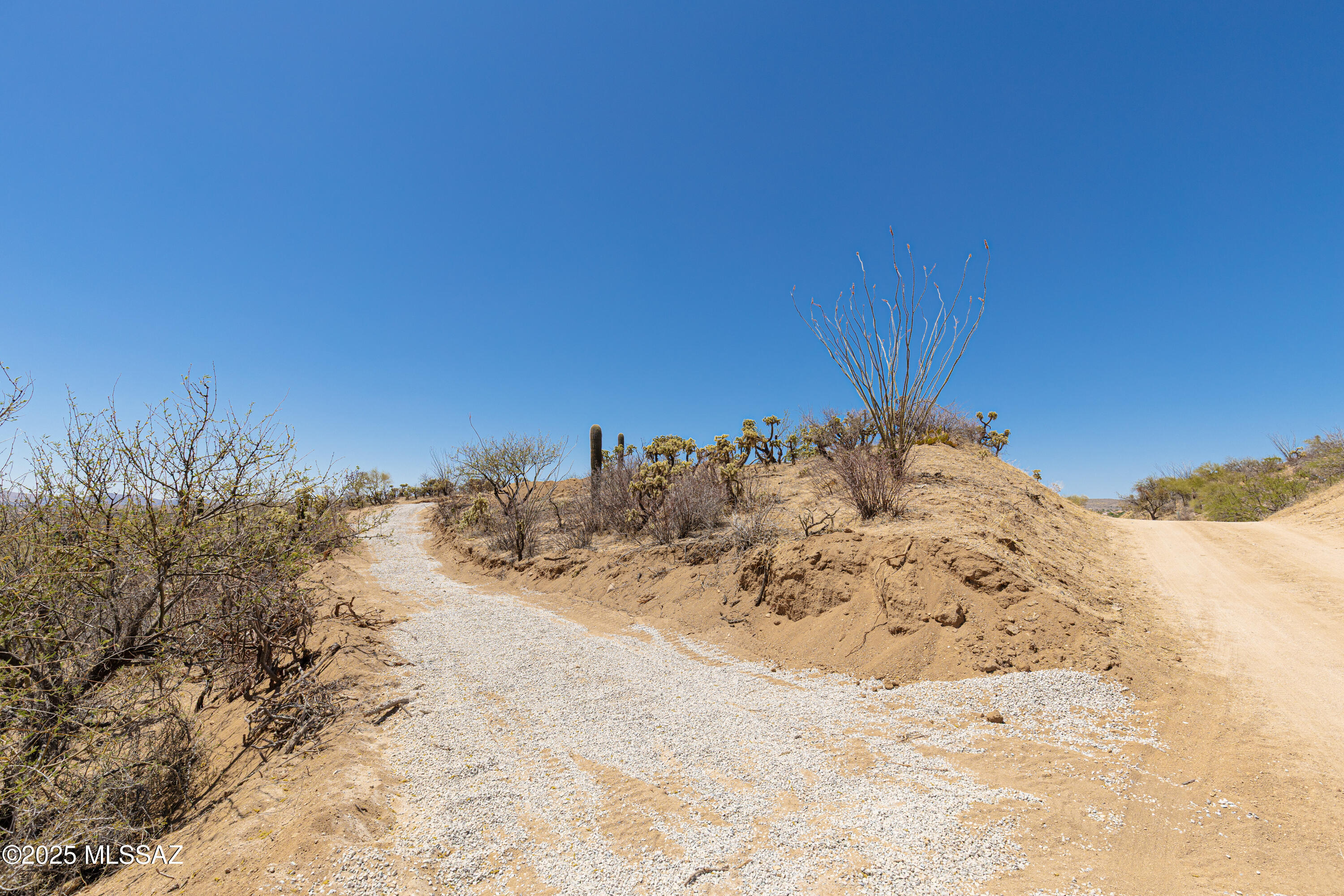 0 South Dodge Canyon Road, Unit 1 Tucson, AZ 85739 - Photo 9 of 20
