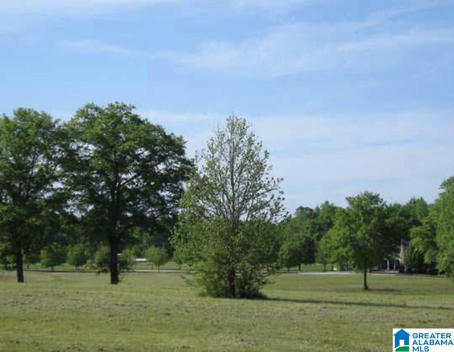 245 Wesson Street Jemison, AL 35085 - Photo 4 of 5