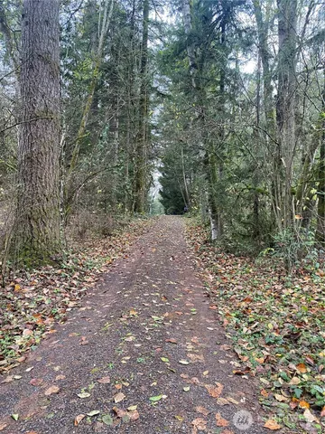 a view of a forest with trees in the background