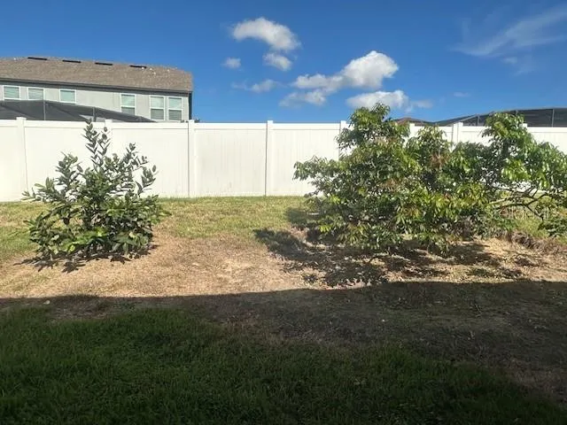 a view of a big yard