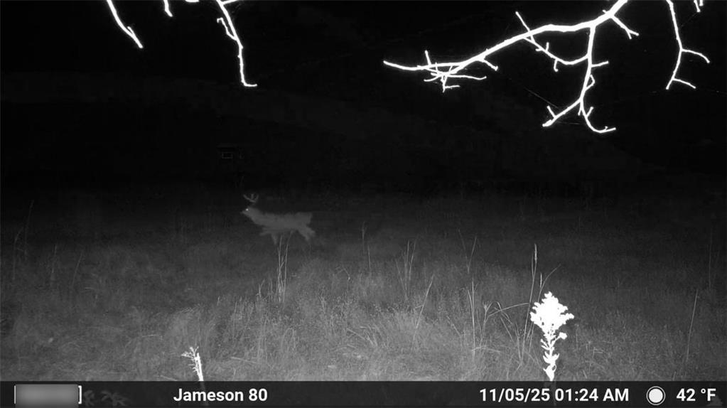 250th Street Jameson, MO 64647 - Photo 11 of 54