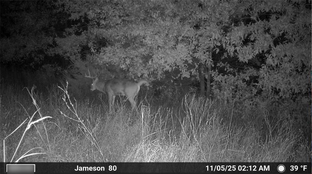 250th Street Jameson, MO 64647 - Photo 12 of 54