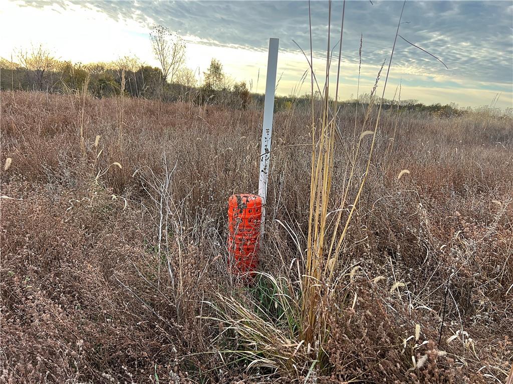 250th Street Jameson, MO 64647 - Photo 18 of 54