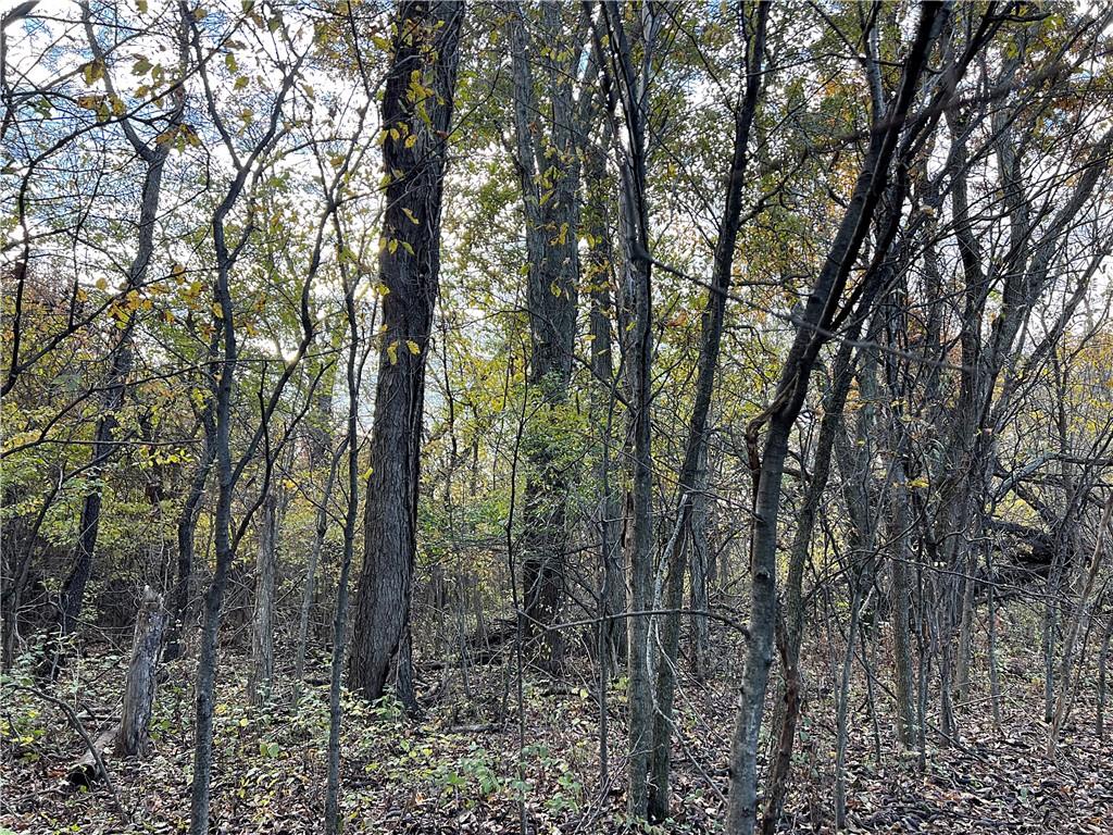 250th Street Jameson, MO 64647 - Photo 20 of 54