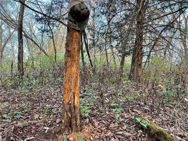 $499,500 | 250th Street, Jameson, MO 64647