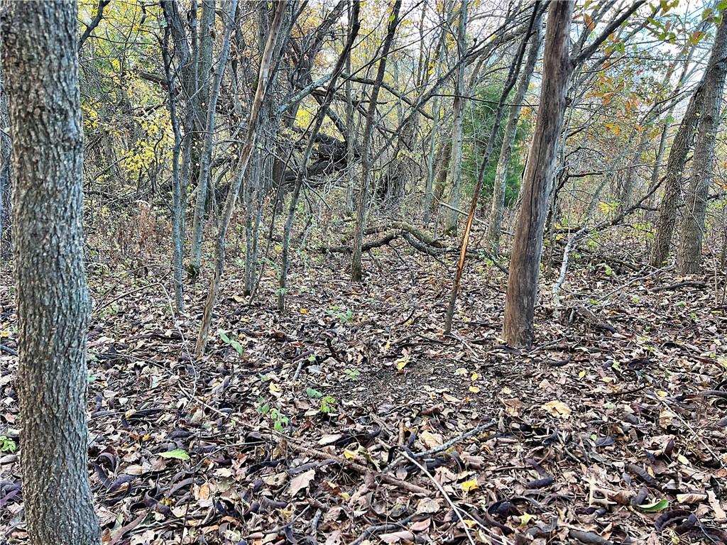 250th Street Jameson, MO 64647 - Photo 21 of 54