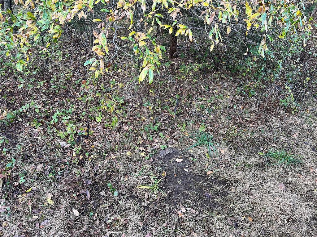 250th Street Jameson, MO 64647 - Photo 22 of 54