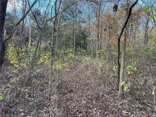 $499,500 | 250th Street, Jameson, MO 64647