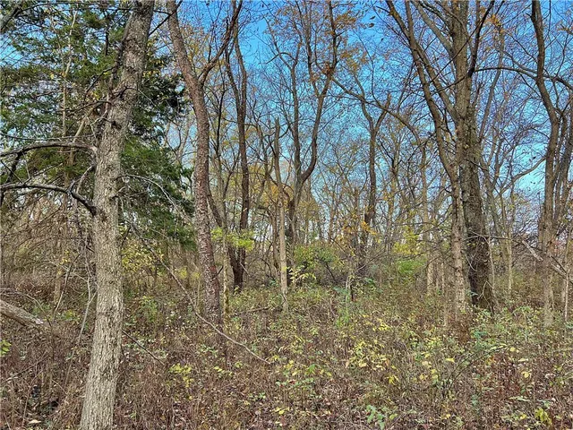 $499,500 | 250th Street, Jameson, MO 64647