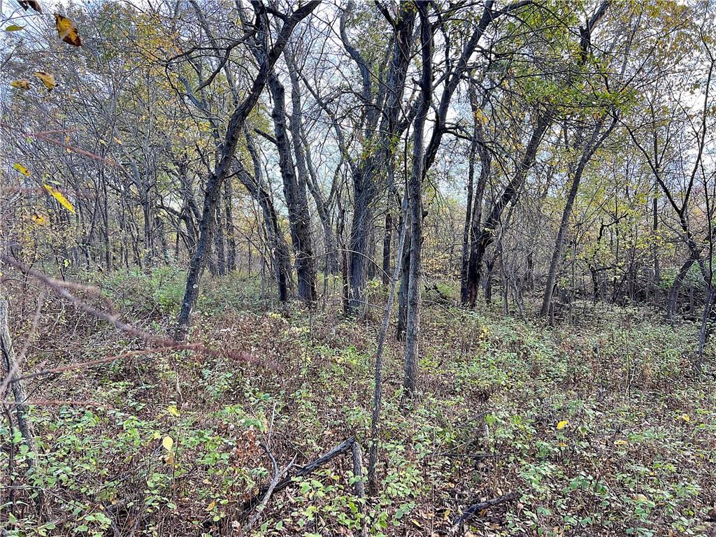 250th Street Jameson, MO 64647 - Photo 25 of 54