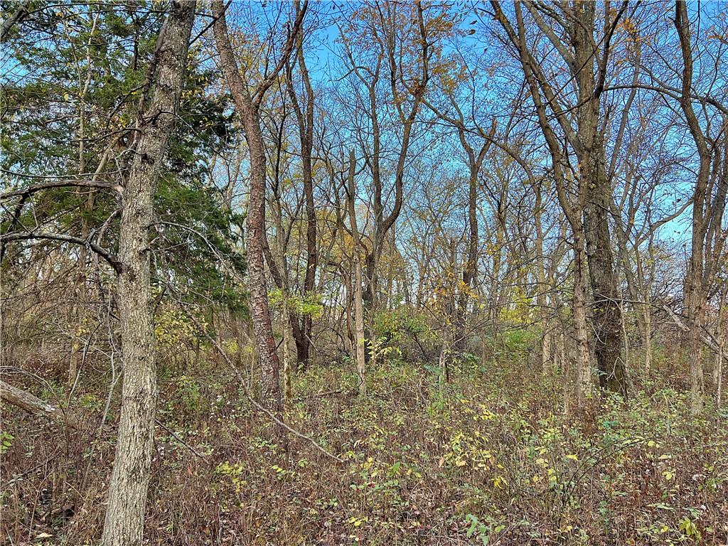 250th Street Jameson, MO 64647 - Photo 27 of 54