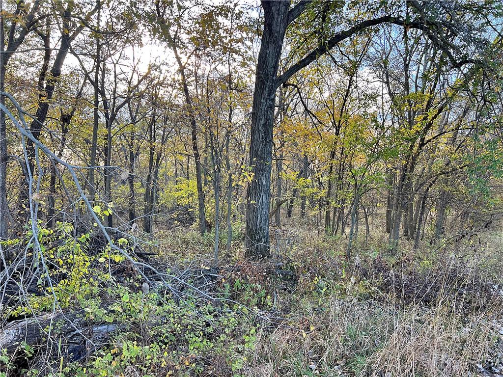 250th Street Jameson, MO 64647 - Photo 29 of 54