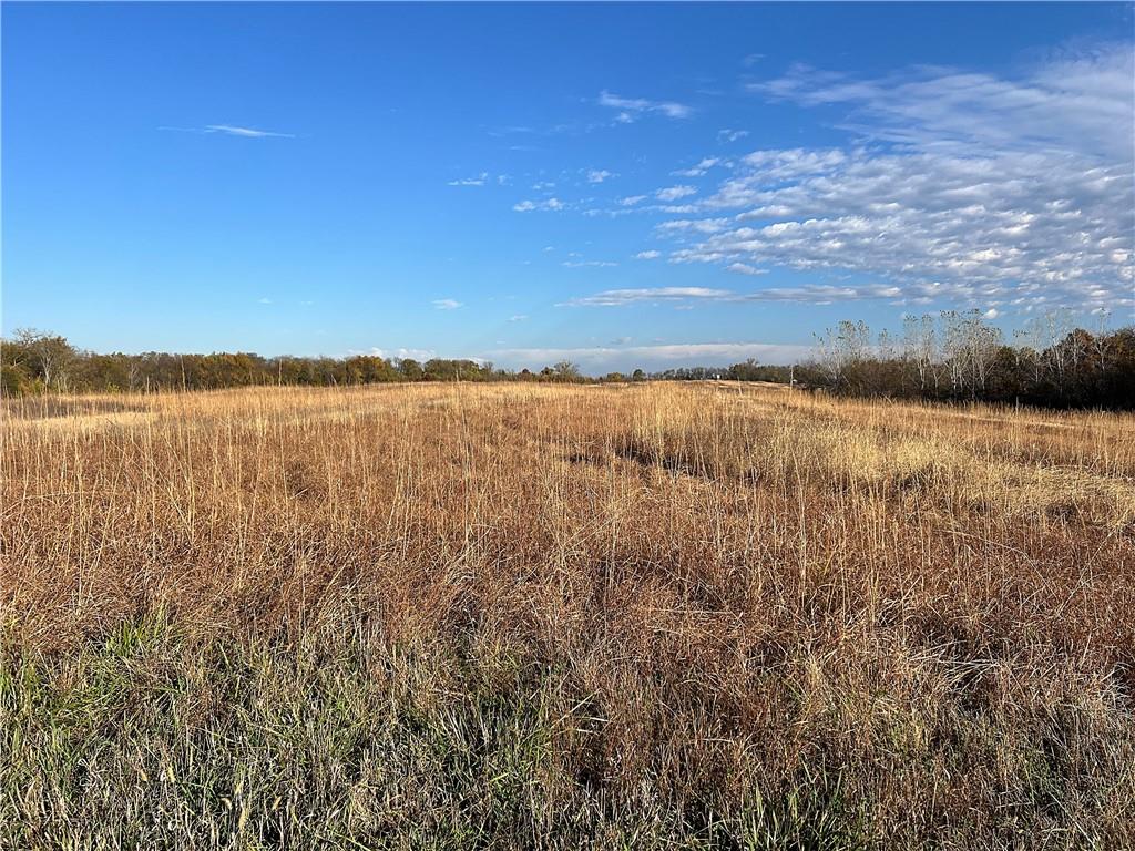 250th Street Jameson, MO 64647 - Photo 30 of 54