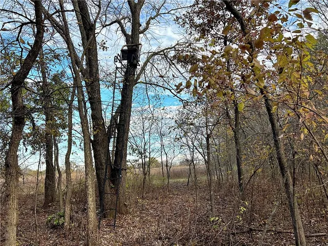 $499,500 | 250th Street, Jameson, MO 64647