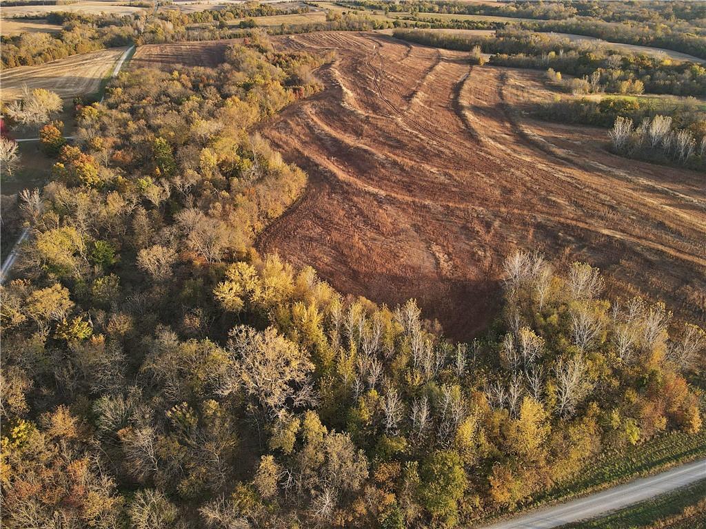 250th Street Jameson, MO 64647 - Photo 42 of 54