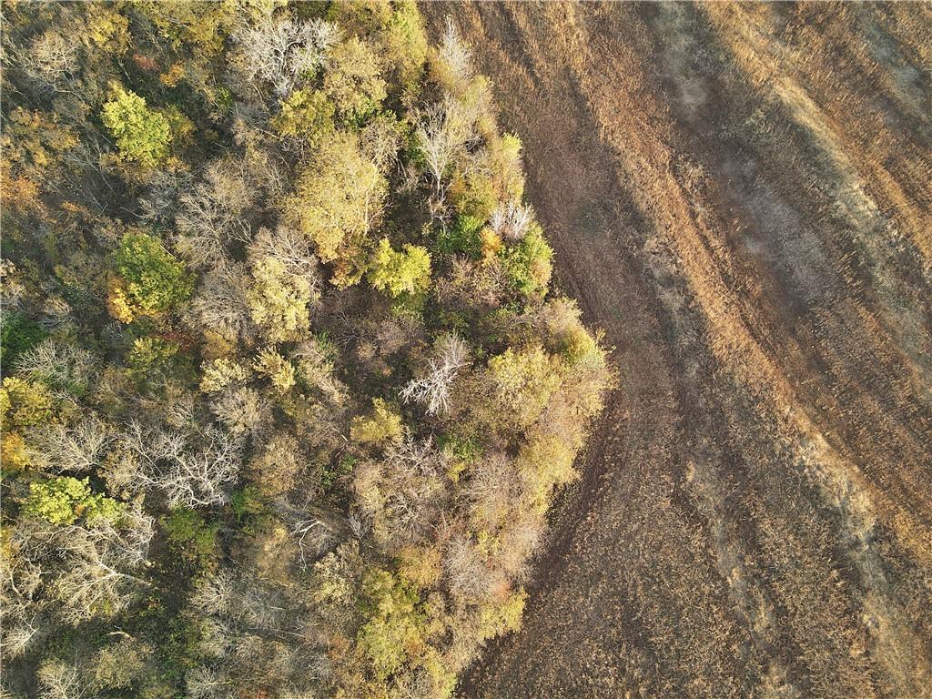 250th Street Jameson, MO 64647 - Photo 44 of 54