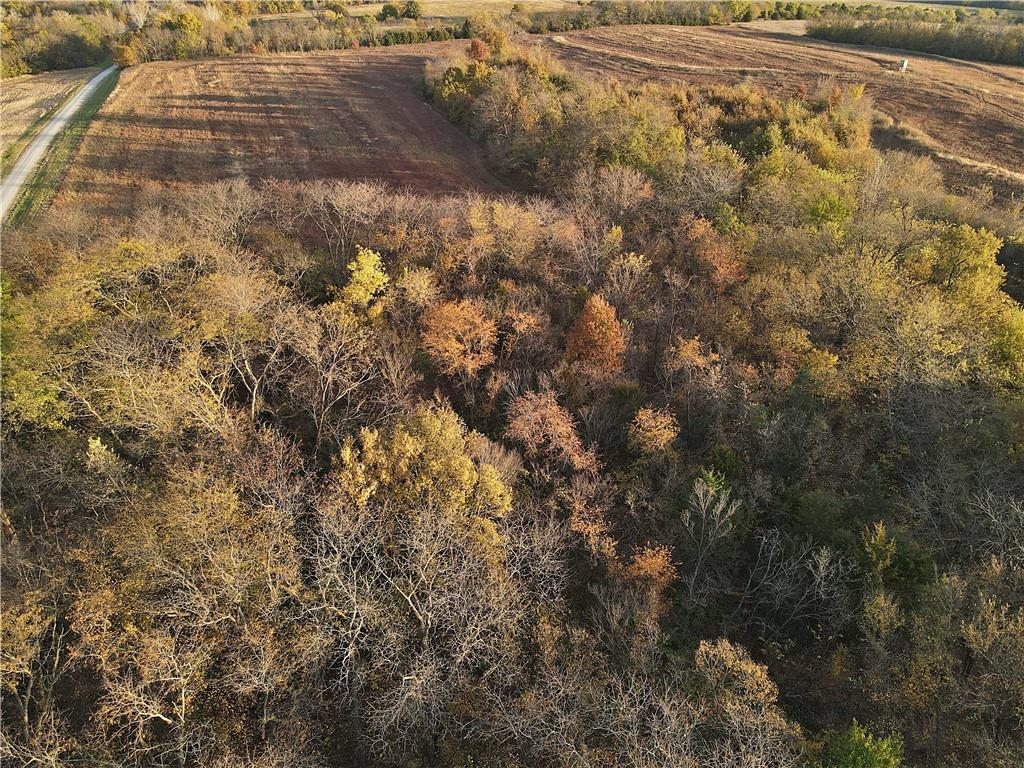 250th Street Jameson, MO 64647 - Photo 48 of 54