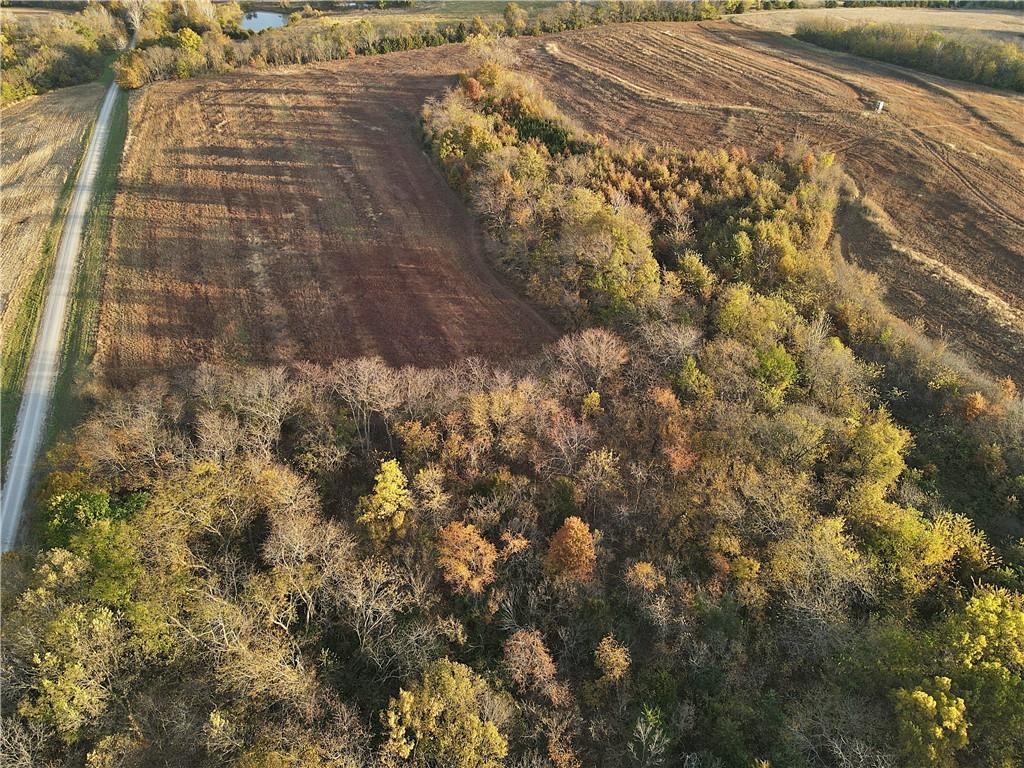 250th Street Jameson, MO 64647 - Photo 49 of 54