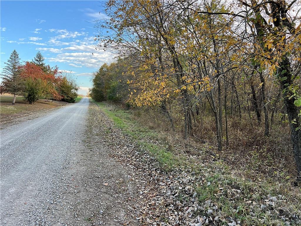 250th Street Jameson, MO 64647 - Photo 5 of 54