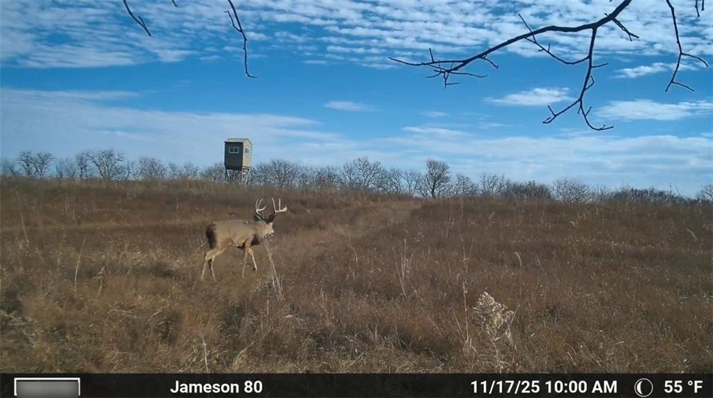 250th Street Jameson, MO 64647 - Photo 6 of 54