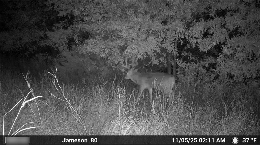 250th Street Jameson, MO 64647 - Photo 7 of 54