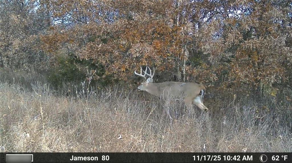 250th Street Jameson, MO 64647 - Photo 8 of 54