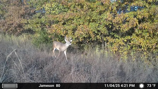 $499,500 | 250th Street, Jameson, MO 64647