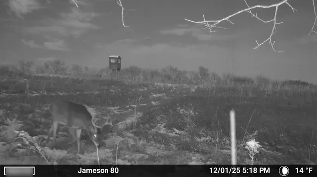 $499,500 | 250th Street, Jameson, MO 64647