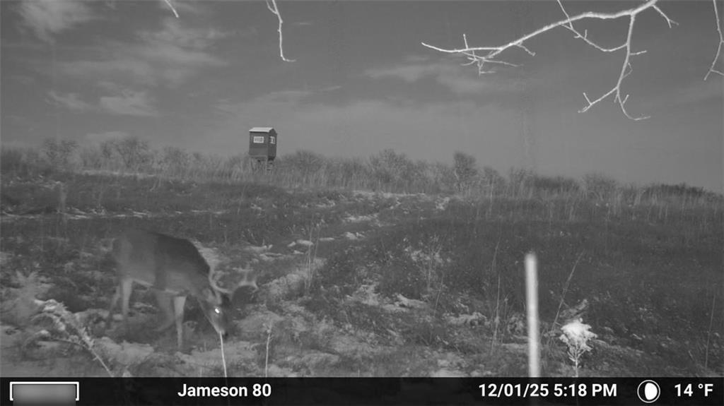 250th Street Jameson, MO 64647 - Photo 9 of 54