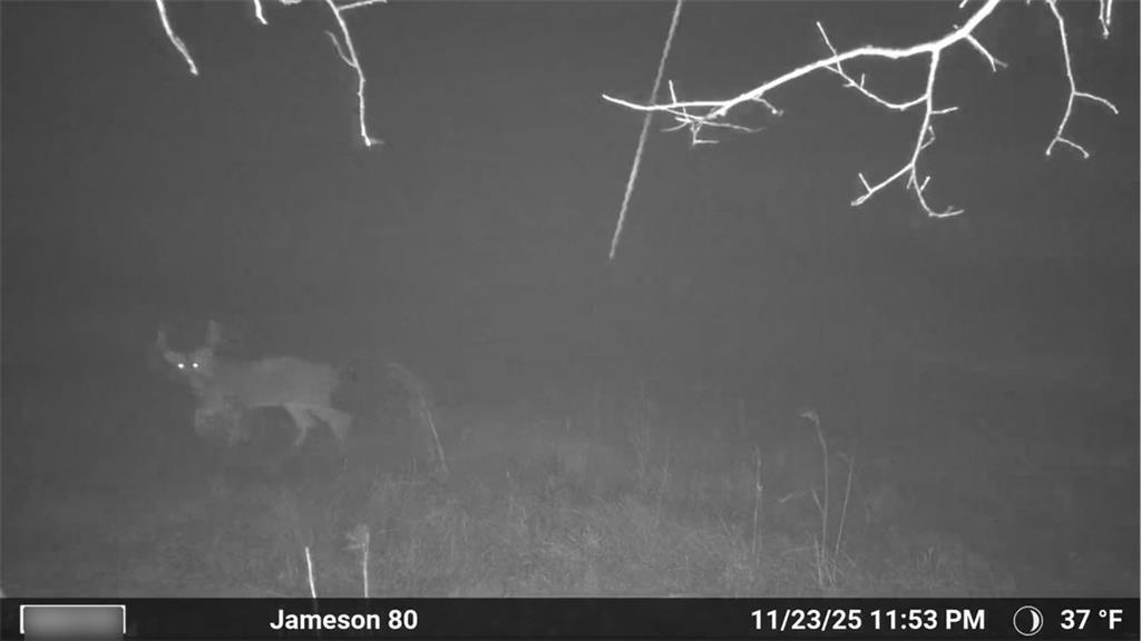 250th Street Jameson, MO 64647 - Photo 10 of 54