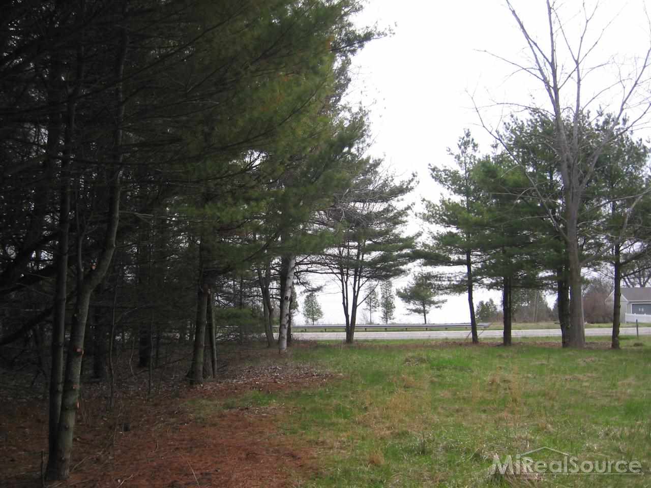 2230 Lakeshore Road Applegate, MI 48401 - Photo 1 of 12 31179700.JPG