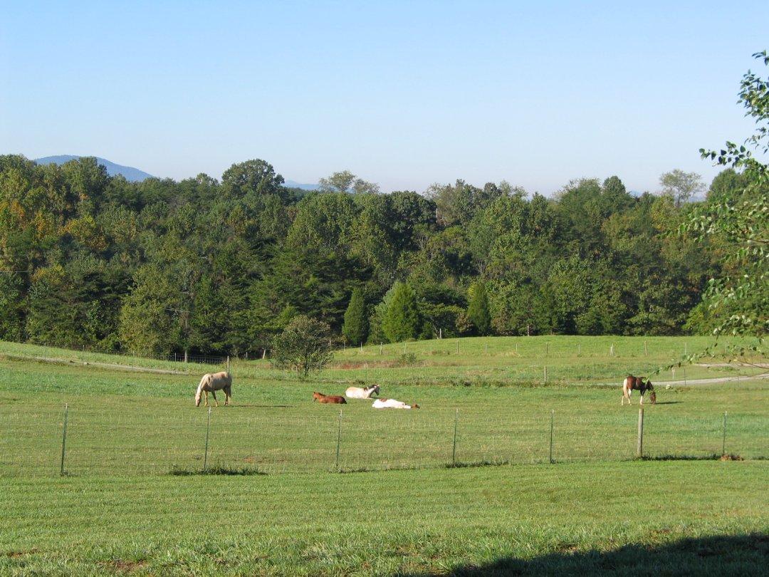 1437 Dickerson Road Goodview, VA 24095 - Photo 19 of 39 f.jpg