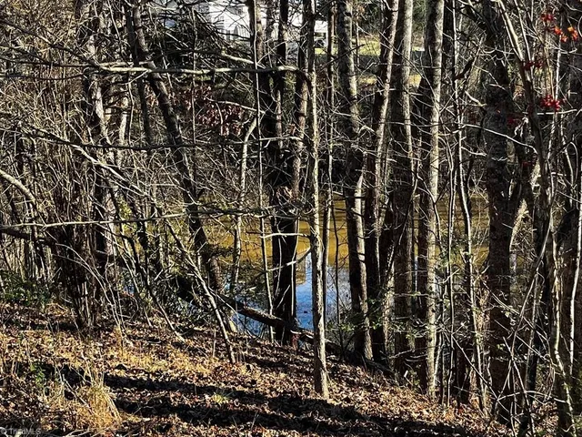 $19,900 | 0 Virgilina Circle, Cana, VA 24317