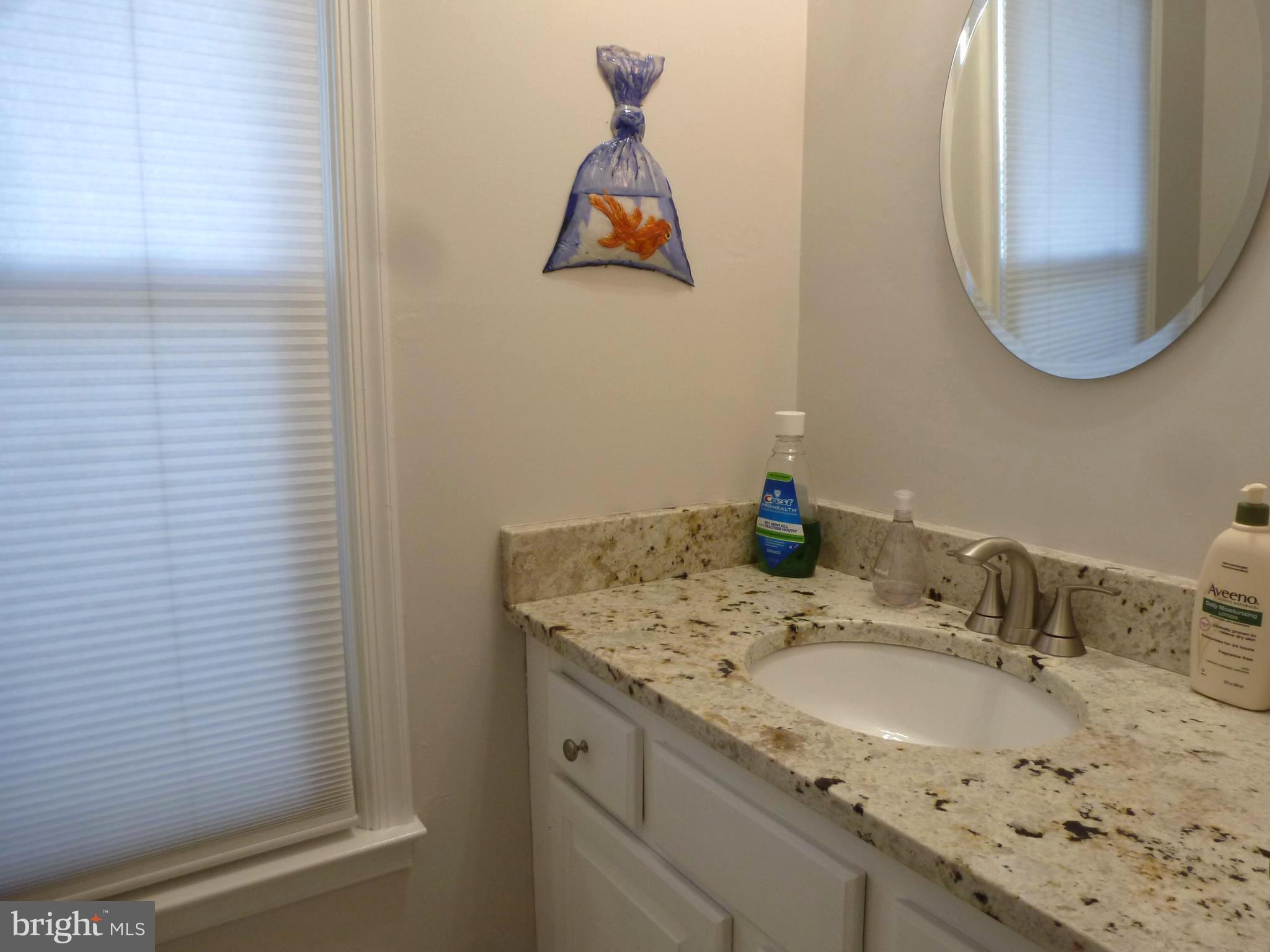 125 Environs Road Sterling, VA 20165 - Photo 14 of 26 Updated Powder Room with Granite top Vanity