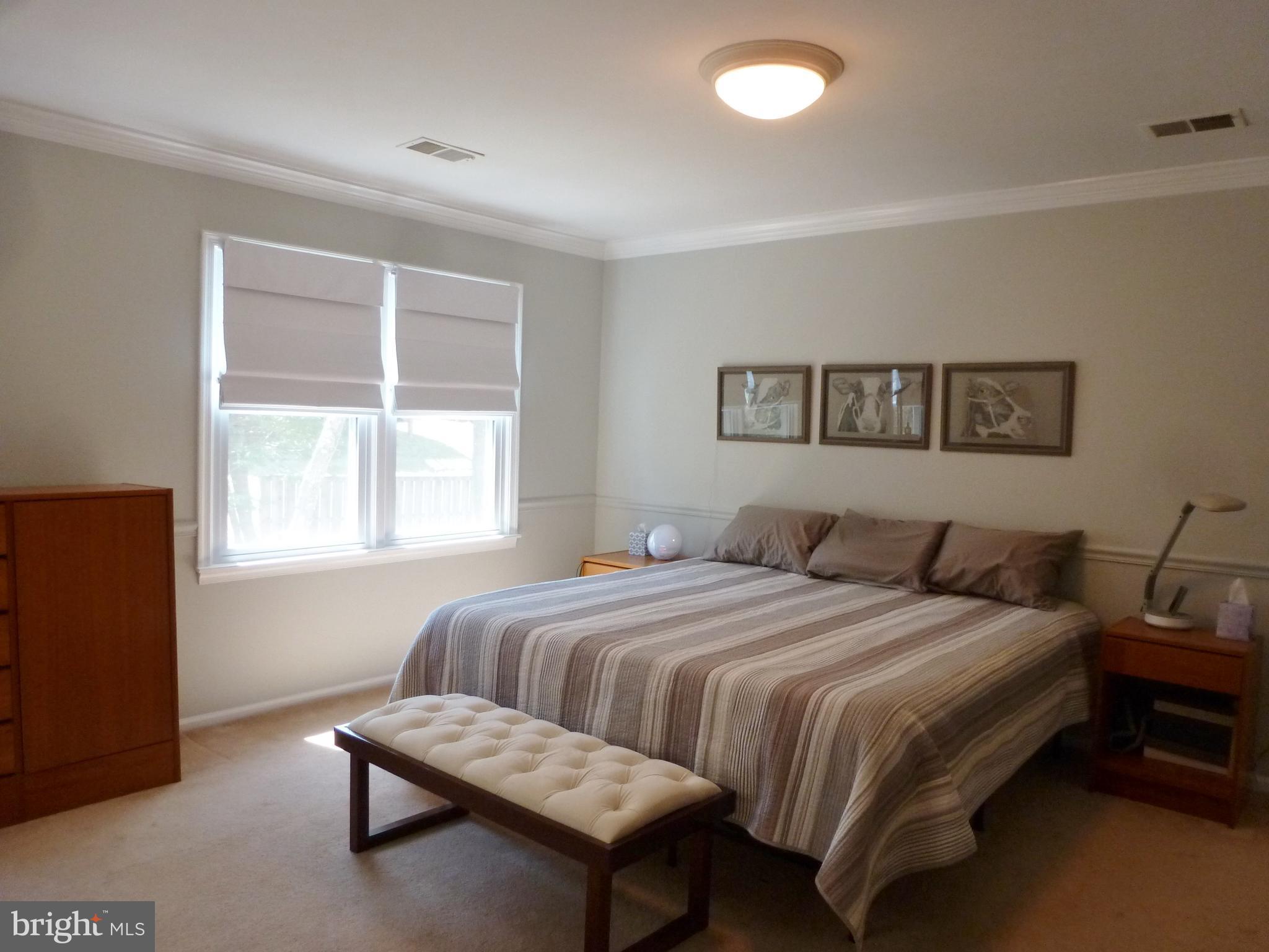 125 Environs Road Sterling, VA 20165 - Photo 15 of 26 Picture your King Sized Bed in this huge bedroom