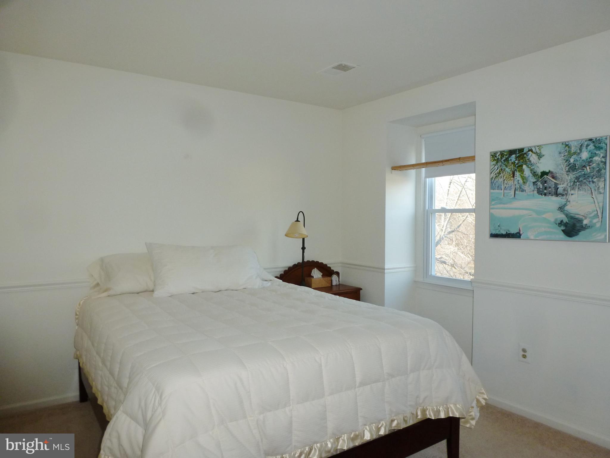 125 Environs Road Sterling, VA 20165 - Photo 18 of 26 Bedroom 2 fits double or single bed