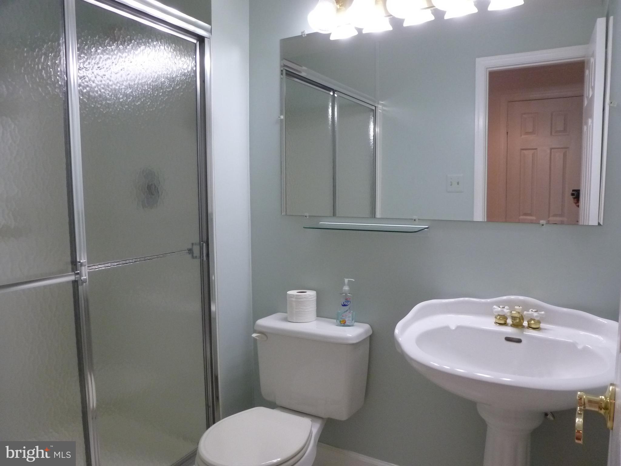125 Environs Road Sterling, VA 20165 - Photo 21 of 26 Full Bath on Lower Level