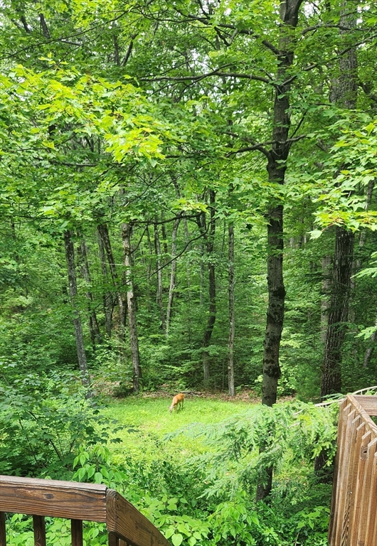 79 Pine Ridge Road Montgomery, MA 01085 - Photo 13 of 14