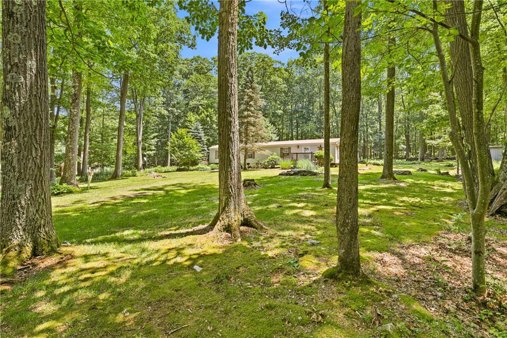 175 Dons Road Fort Hill, PA 15540 - Photo 21 of 35